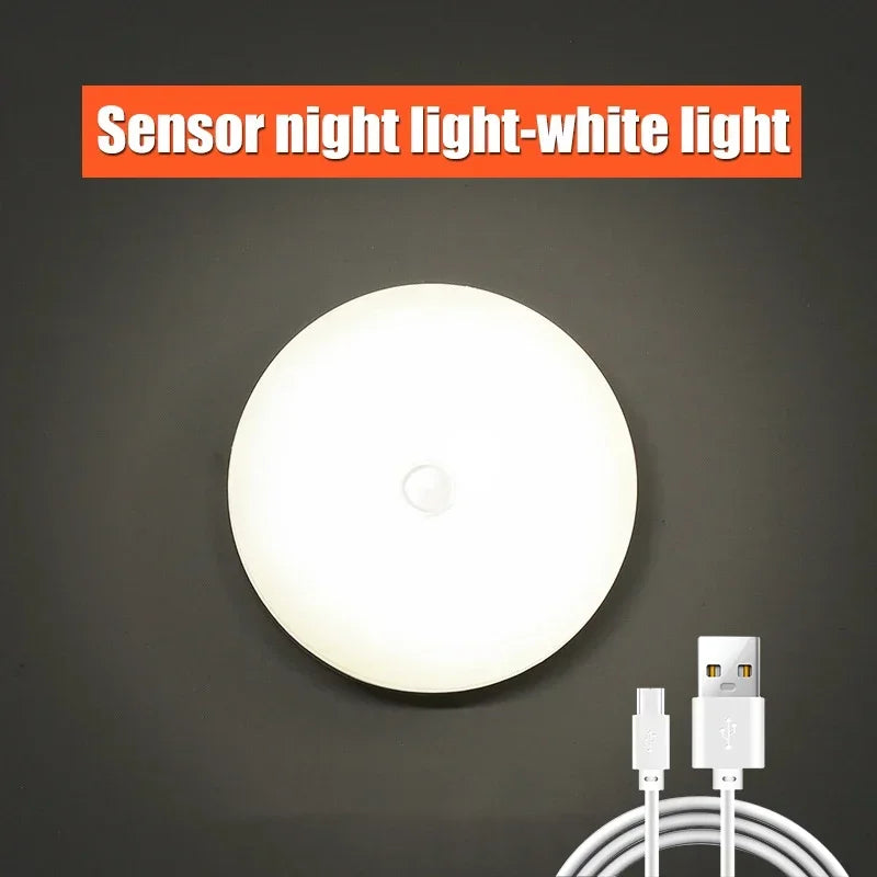 Motion Sensor LED Night Light