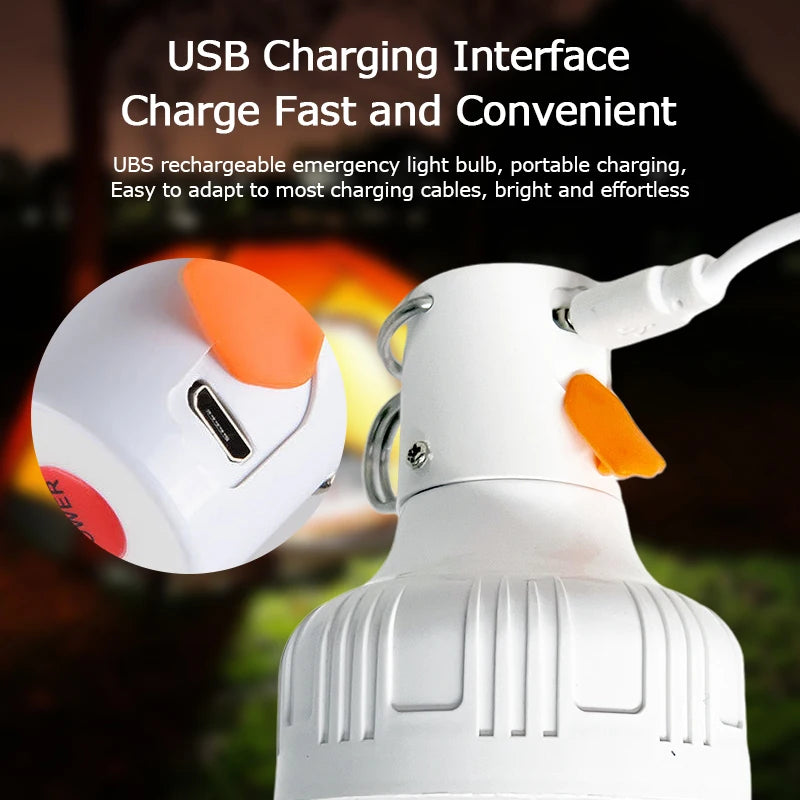 Outdoor USB Rechargeable Lamp